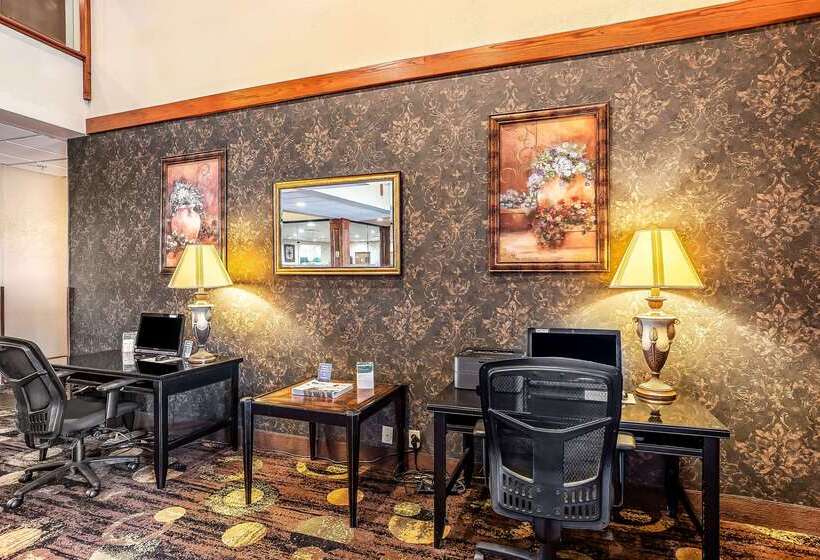 ホテル Quality Inn & Suites