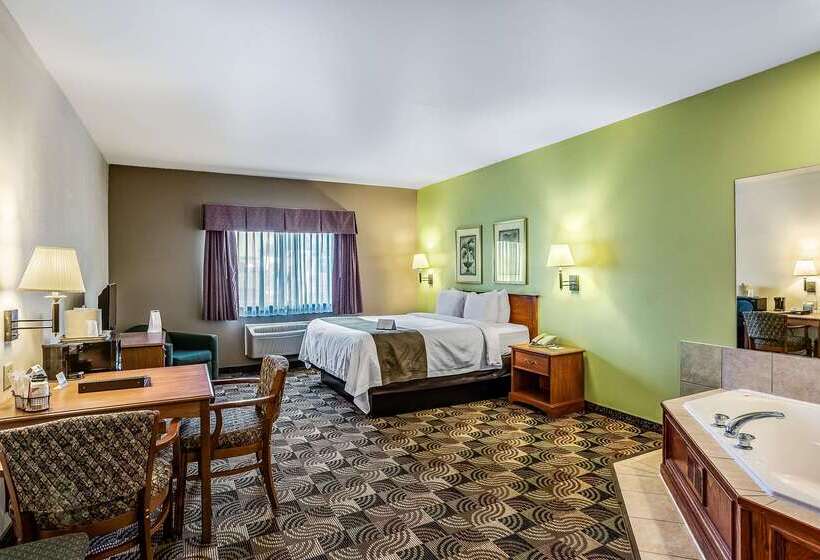 ホテル Quality Inn & Suites