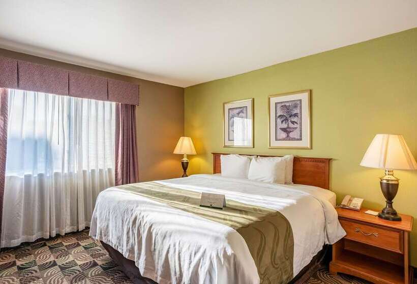 ホテル Quality Inn & Suites