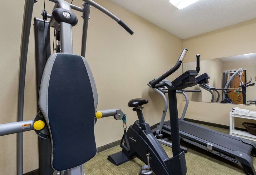 בית מלון כפרי Quality Inn & Suites Pearl Jackson