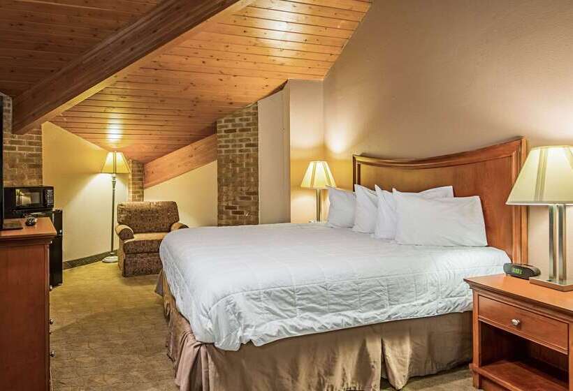 فندق Rodeway Inn