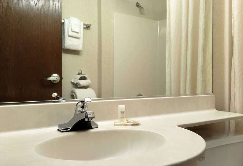 Microtel Inn & Suites By Wyndham Bloomington Msp Airport