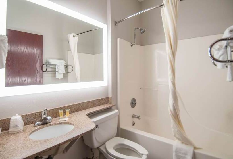 Microtel Inn And Suites Lafayette