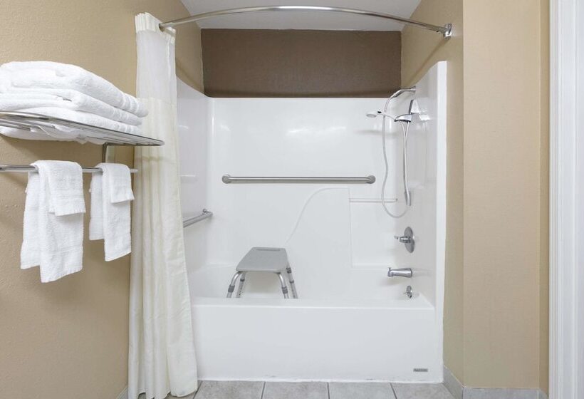 Microtel Inn And Suites Lafayette