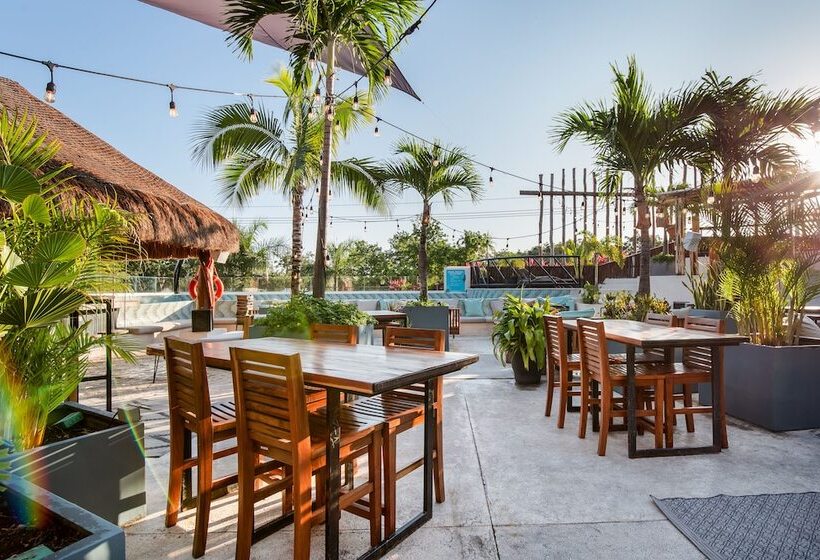 호스텔 Mayan Monkey Tulum | Social
