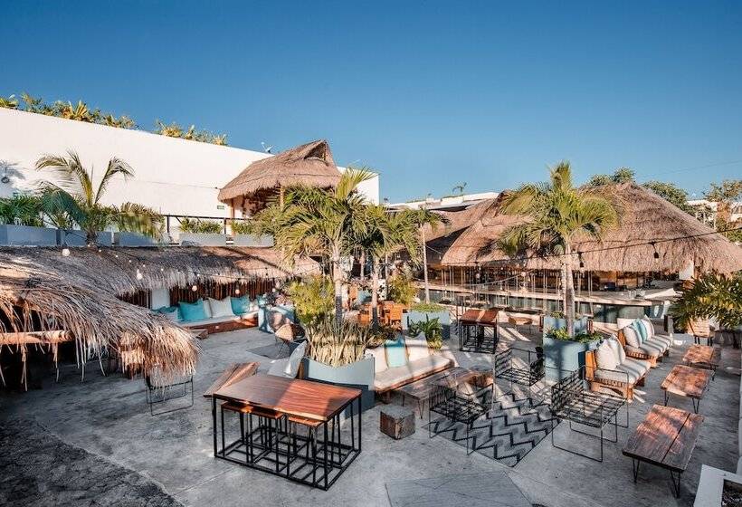 호스텔 Mayan Monkey Tulum | Social