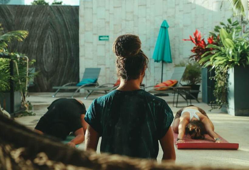 호스텔 Mayan Monkey Tulum | Social