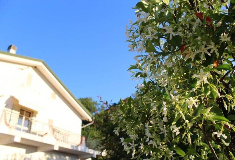 Bed and Breakfast Tetto Verde
