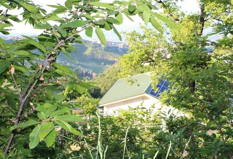 Bed and Breakfast Tetto Verde