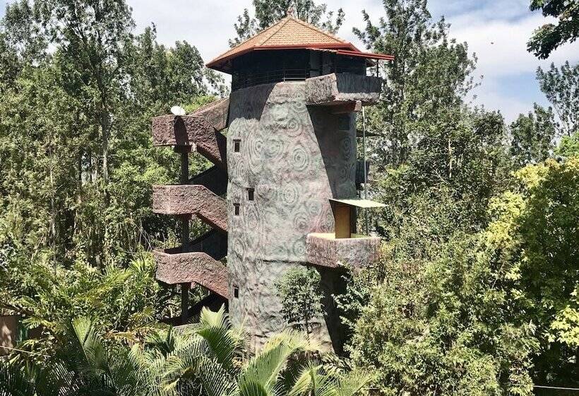 酒店 Coorg Jungle Camp Backwater Resort