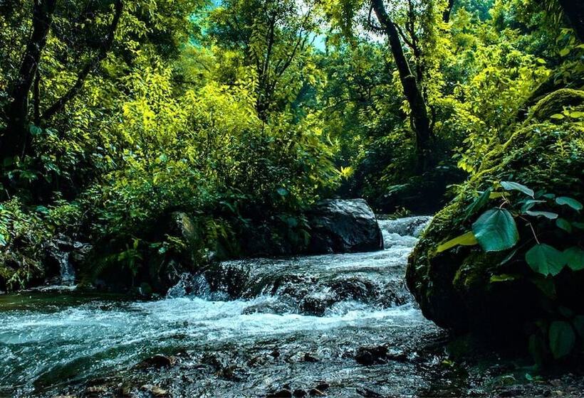 酒店 Haut Monde Hill Stream Resort And Spa