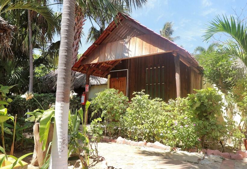 هتل Bungalows Acuario