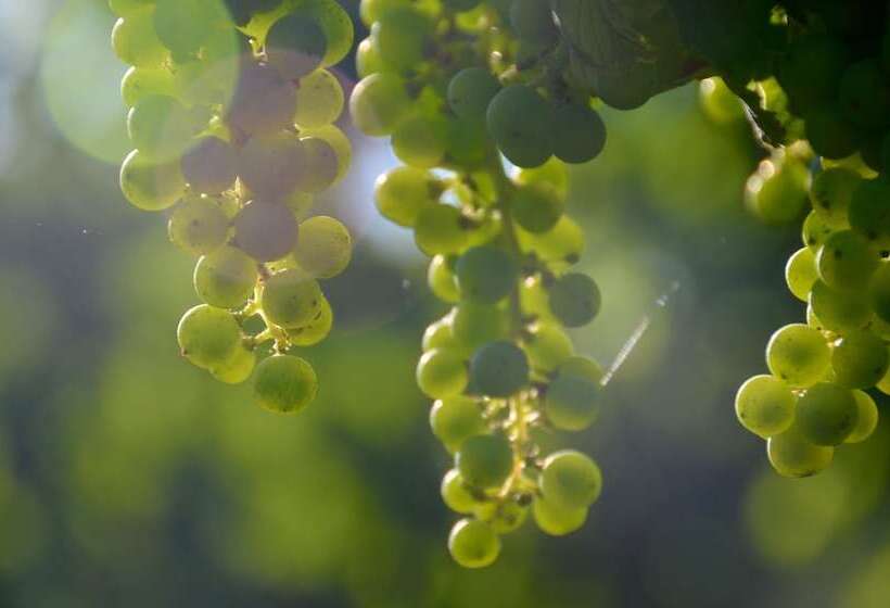 بنسيون Domaine De Grande Font