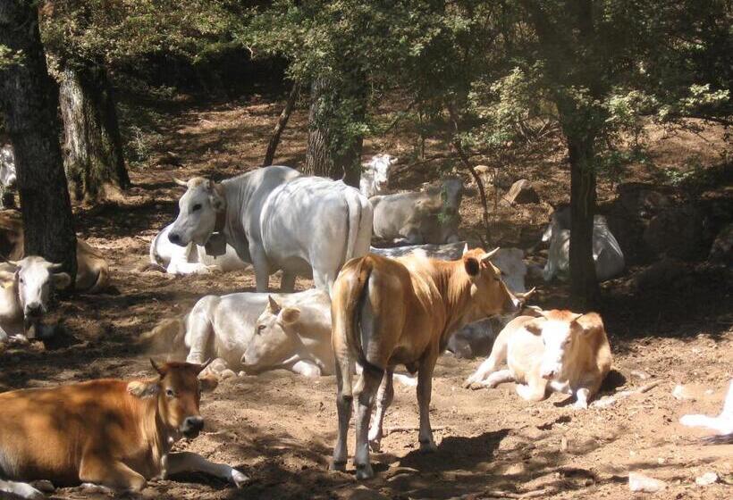 膳宿费 Immersi Nella Natura