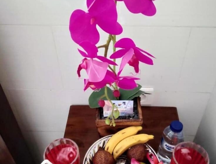 膳宿费 Myart Homestay