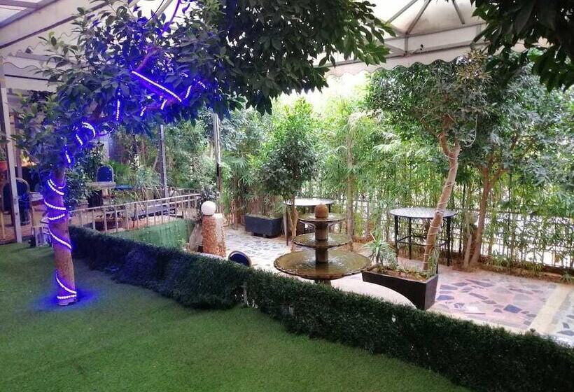 Senhaja Hotel   Hostel