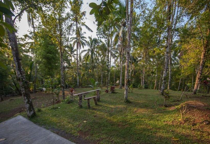 Bed and Breakfast Bali Green Retreat