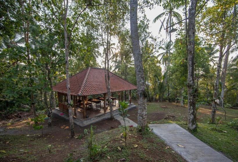 Bed and Breakfast Bali Green Retreat