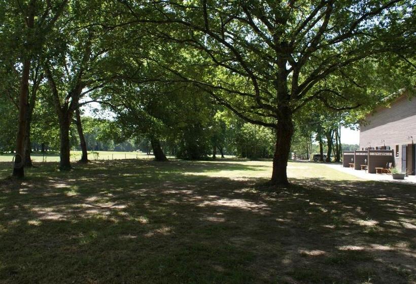住宿加早餐  Domaine Du Bois Seguin