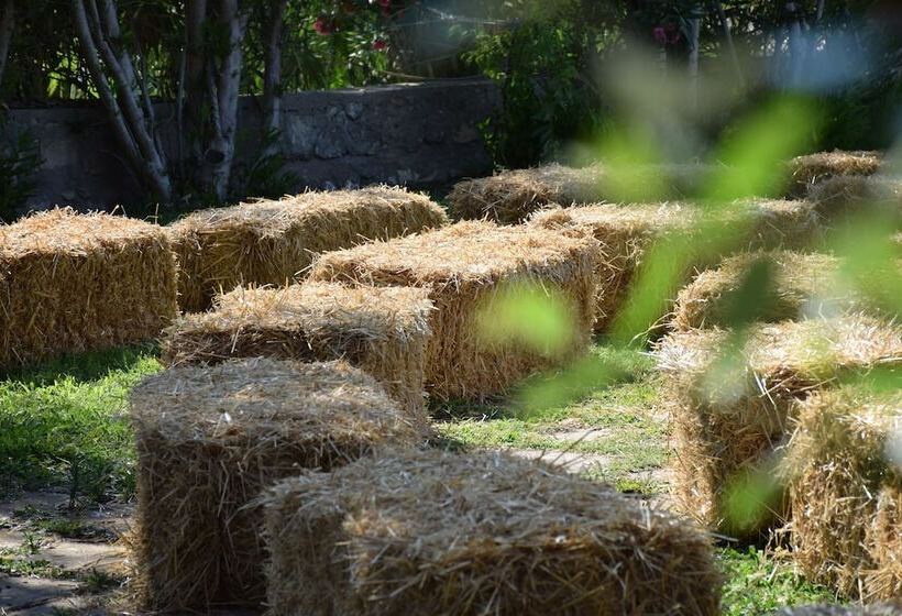 住宿加早餐  L'aia Di San Giorgio