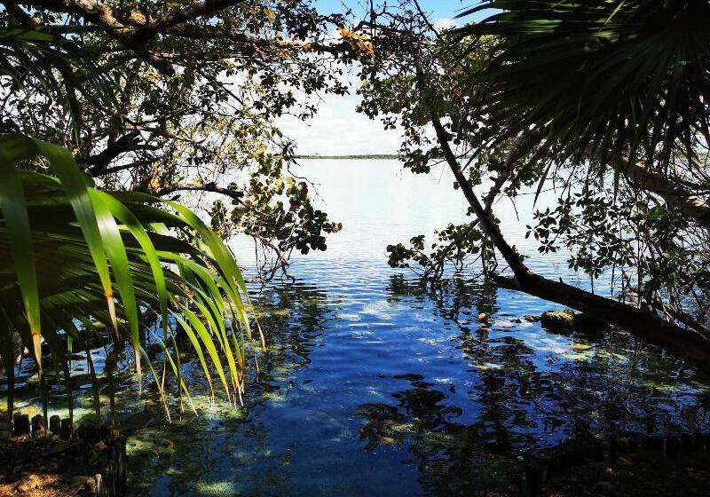 בית מלון כפרי Buenavista Bacalar