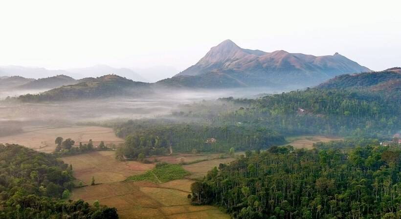 Отель Machaan Plantation Resorts Sakleshpur