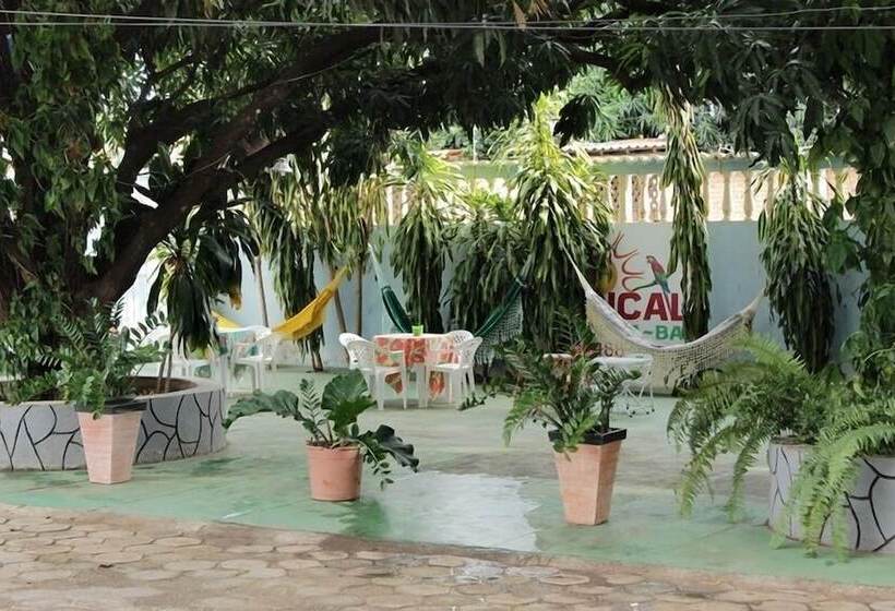 בית מלון כפרי Pousada Tropical