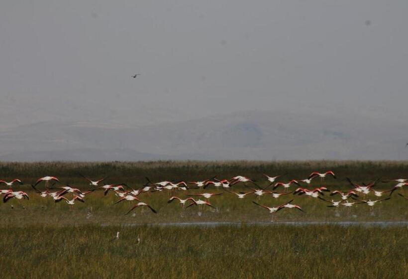 هتل Sultan Pansion Bird Paradise