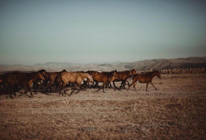 هتل Sultan Pansion Bird Paradise