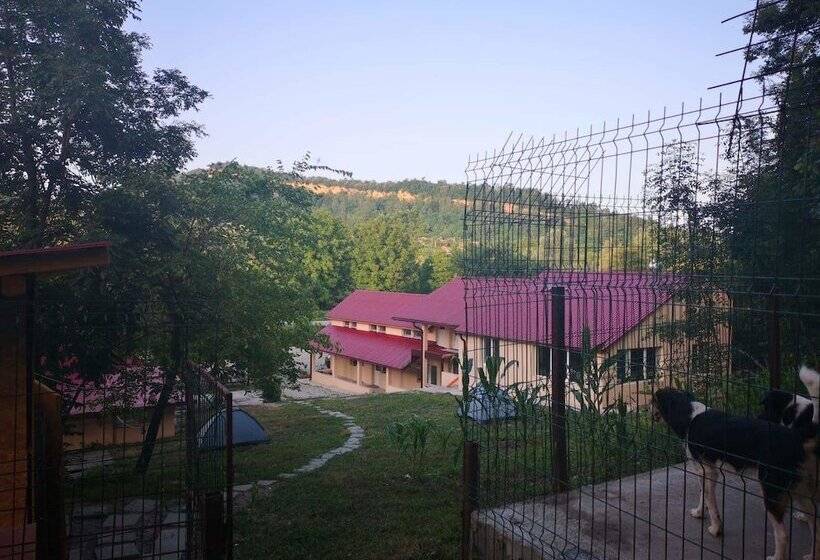 بنسيون Casa Natura Healing Sound