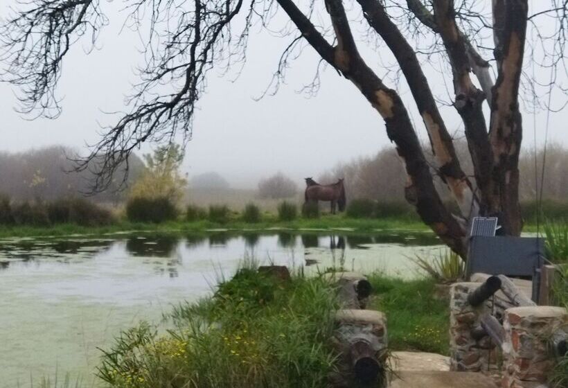 Пансион Flitwick Ranch