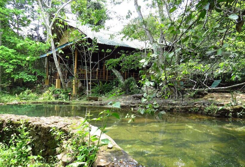 ペンション Rambas Reserve
