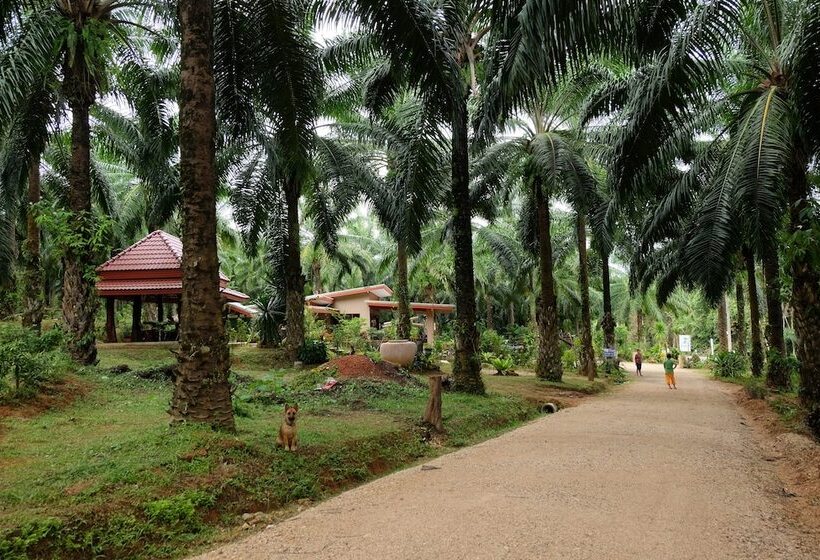 膳宿费 Tonpalm Farmstay