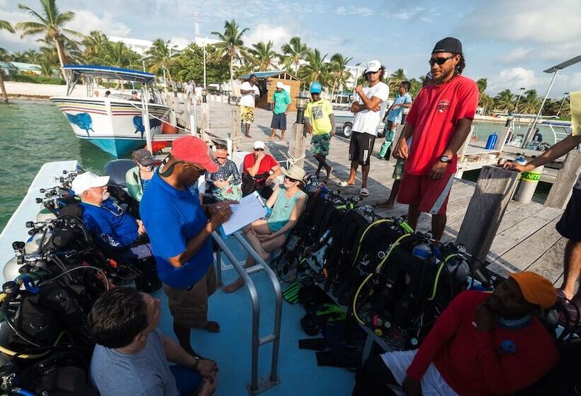 בית מלון כפרי Belize Dive Haven