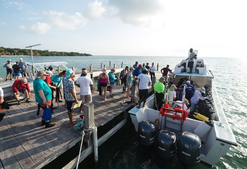בית מלון כפרי Belize Dive Haven