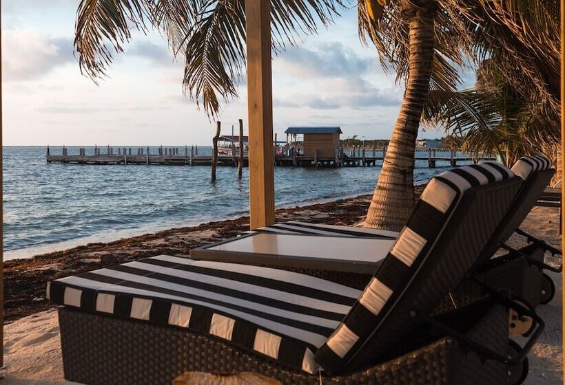 בית מלון כפרי Belize Dive Haven