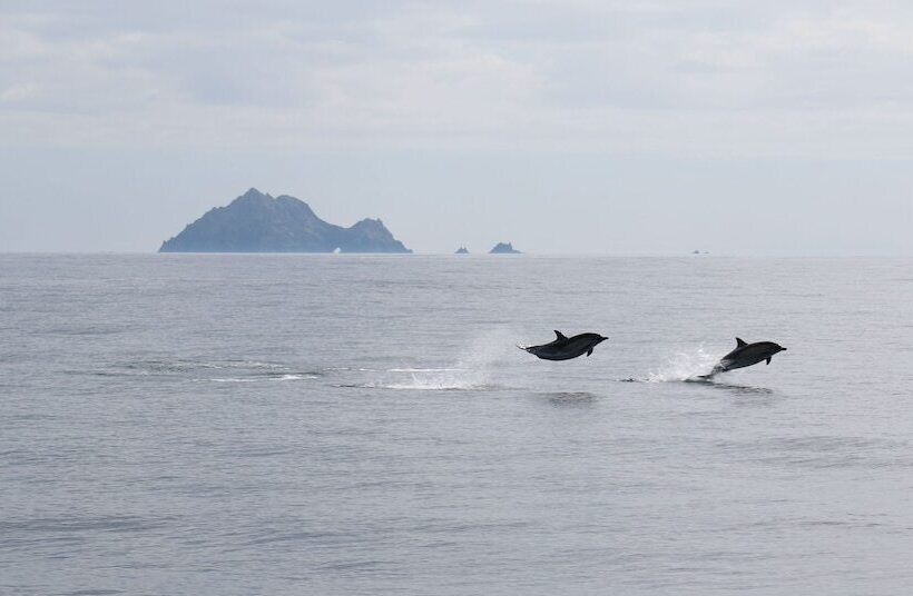 فندق Great Blasket Island Accommodation