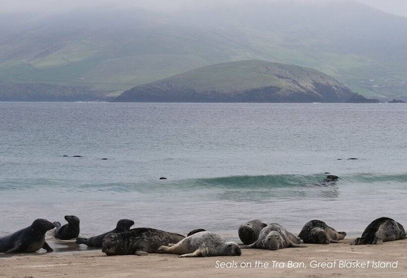 فندق Great Blasket Island Accommodation