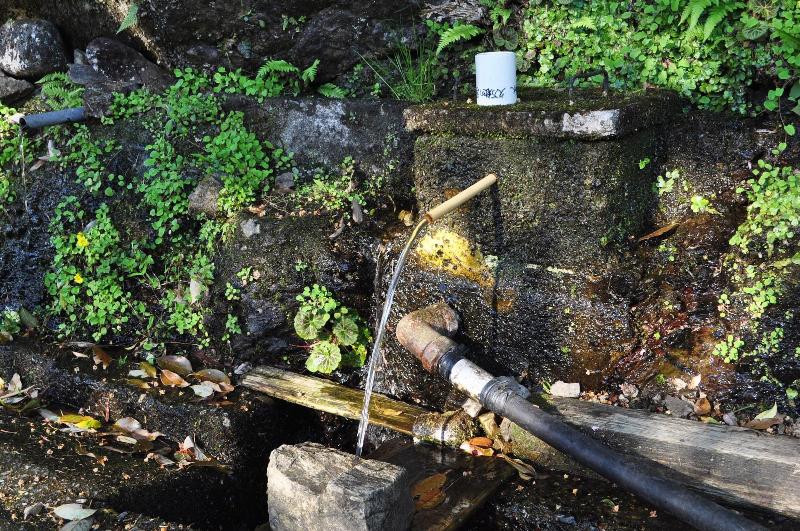 فندق Nature Resort In Shimanto