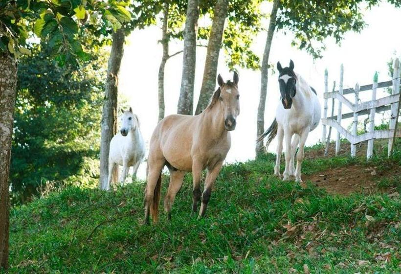 فندق Pousada E Chalés Arco íris