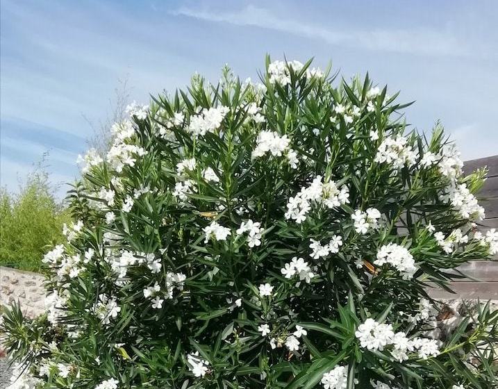 פנסיון Chambre Privée A La Campagne