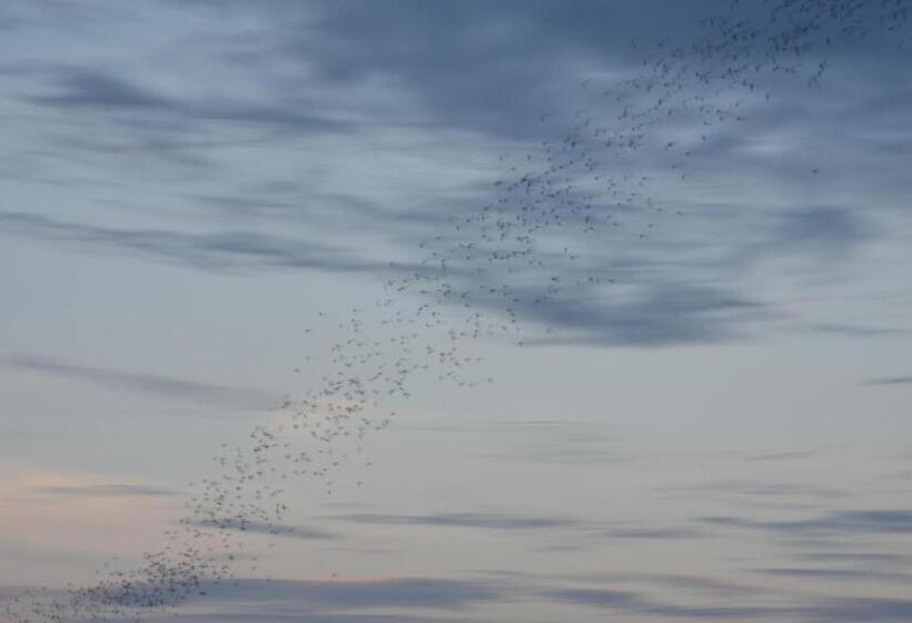 پانسیون Ora Sunrise View