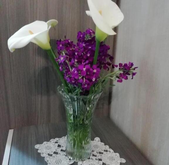 بنسيون Stone House E Casa Vacanze Zia Rosina