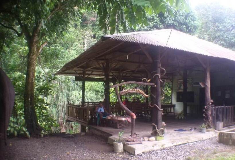 민박 Green Lodge Tangkahan