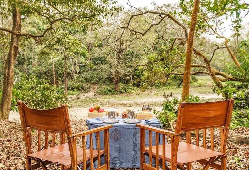 ホテル Pashangarh Panna National Park