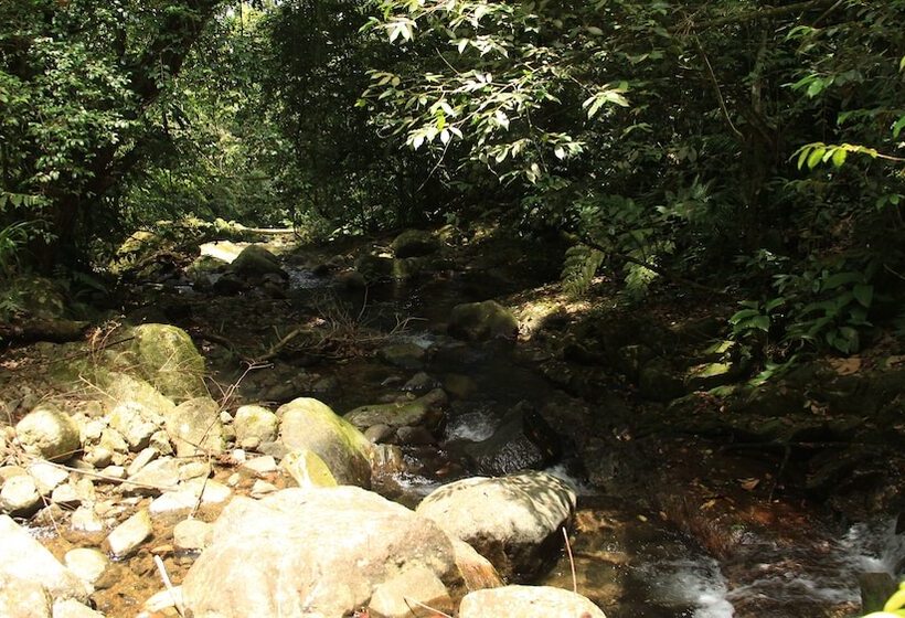 Junglez Eco Hostel