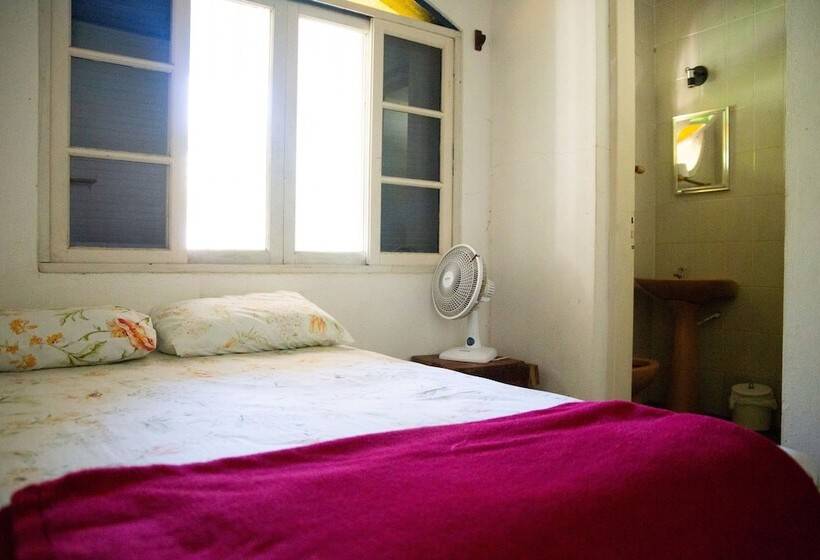 Junglez Eco Hostel