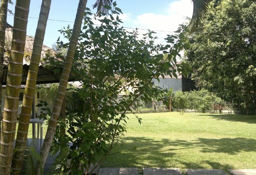 Junglez Eco Hostel