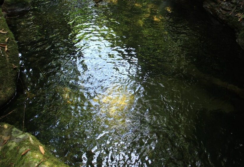 Junglez Eco Hostel