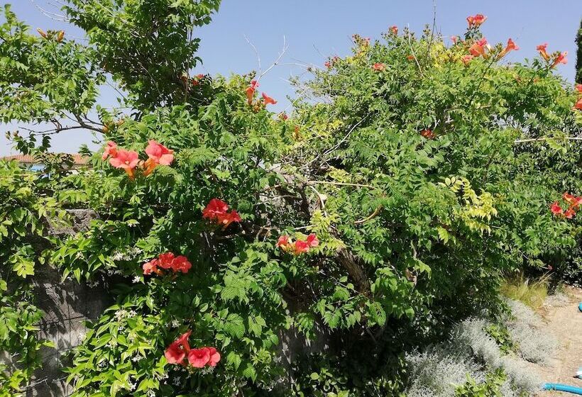 ペンション Maison D Architecte Chez Huguette